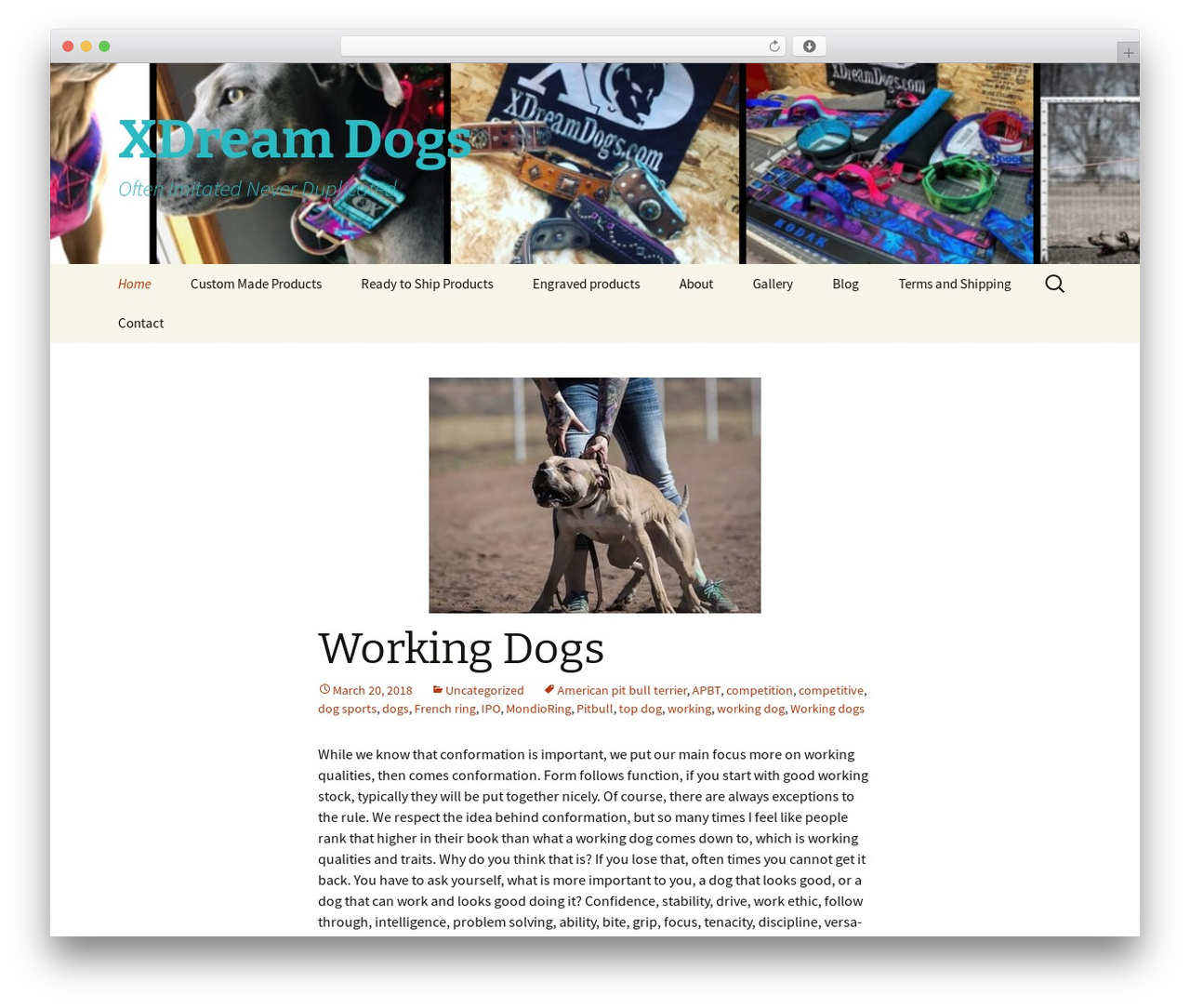 Twenty Thirteen theme WordPress - xdreamdogs.com Twenty Thirteen theme WordPress - xdreamdogs.com