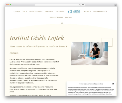 WordPress website theme Divi - lojtekgisele.fr
