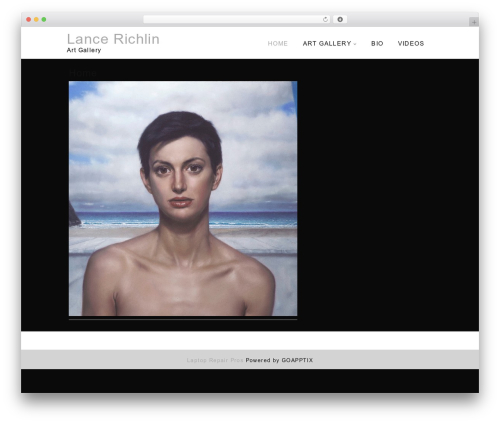 artgallery wallpapers WordPress theme - lancerichlin.com