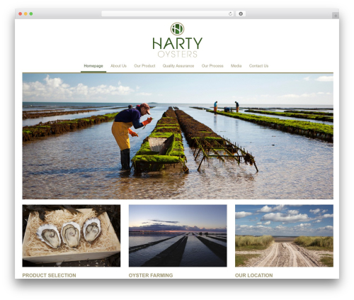 Baseek-Aura WP theme - hartyoysters.com