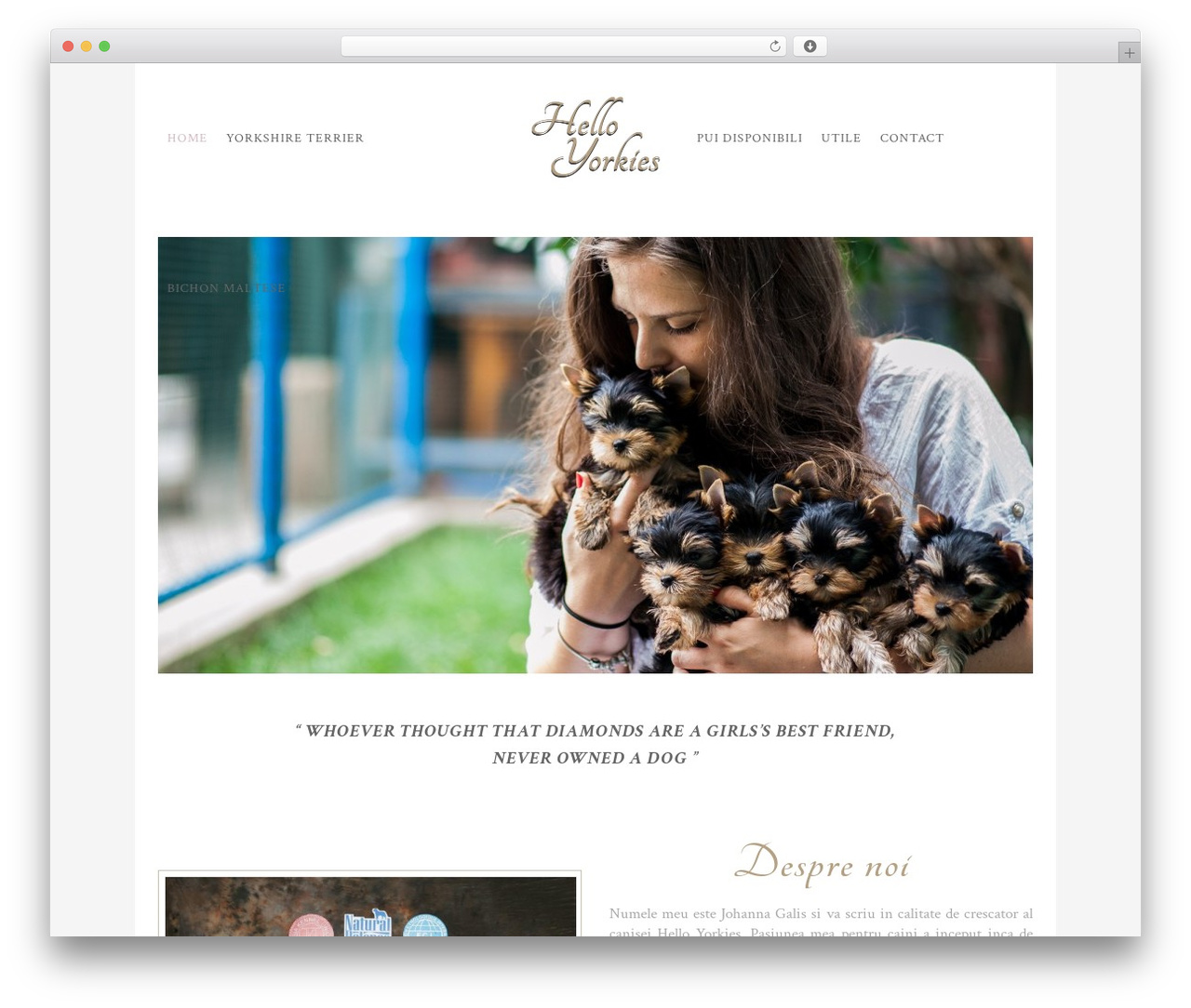 Bodega WordPress theme - helloyorkies.ro Bodega WordPress theme - helloyorkies.ro
