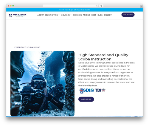 ChatBot  (chatbot) free WordPress plugin - deepbluedivetrainingcenter.com