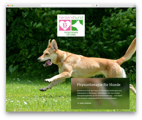 Fieldsets theme WordPress - herzenshund.de