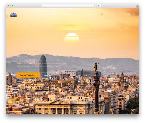 Web font social icons WordPress plugin - aplaceinandalucia.com