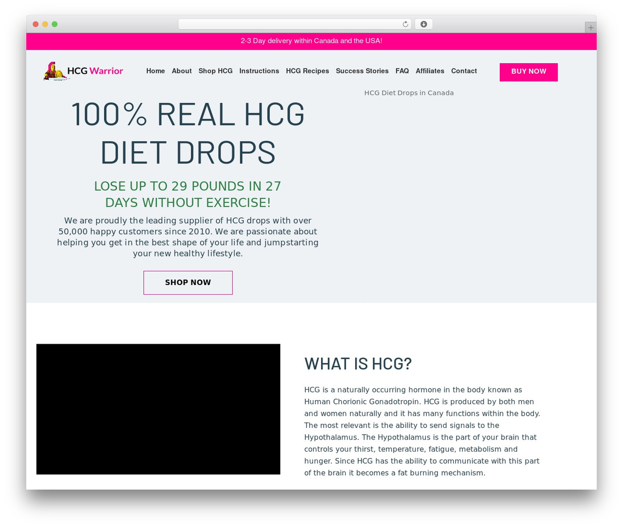 WordPress theme Divi - hcgwarrior.com