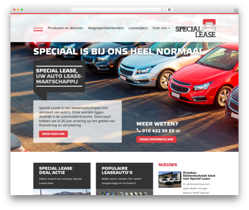 Debug Log Manager (debug-log-manager) free WordPress plugin - speciallease.nl