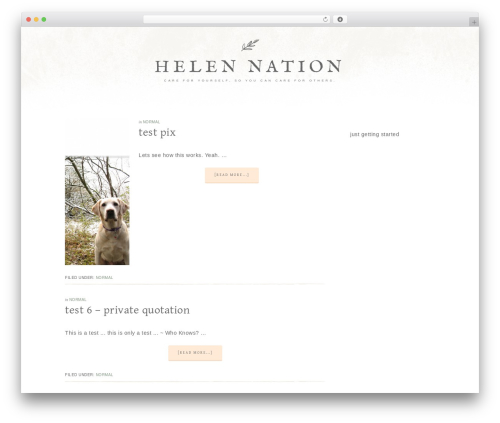 WP theme Market Theme - hlnation.com