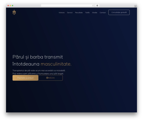 WP theme Hello Elementor - drmotora.ro