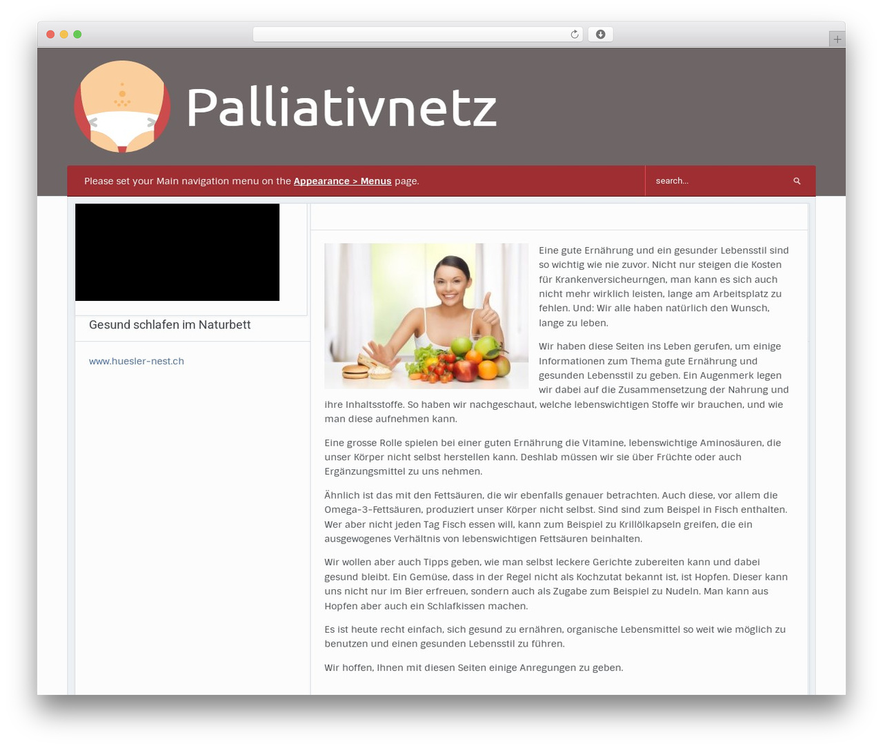 Alpha Theme WordPress theme - palliativnetz.ch
