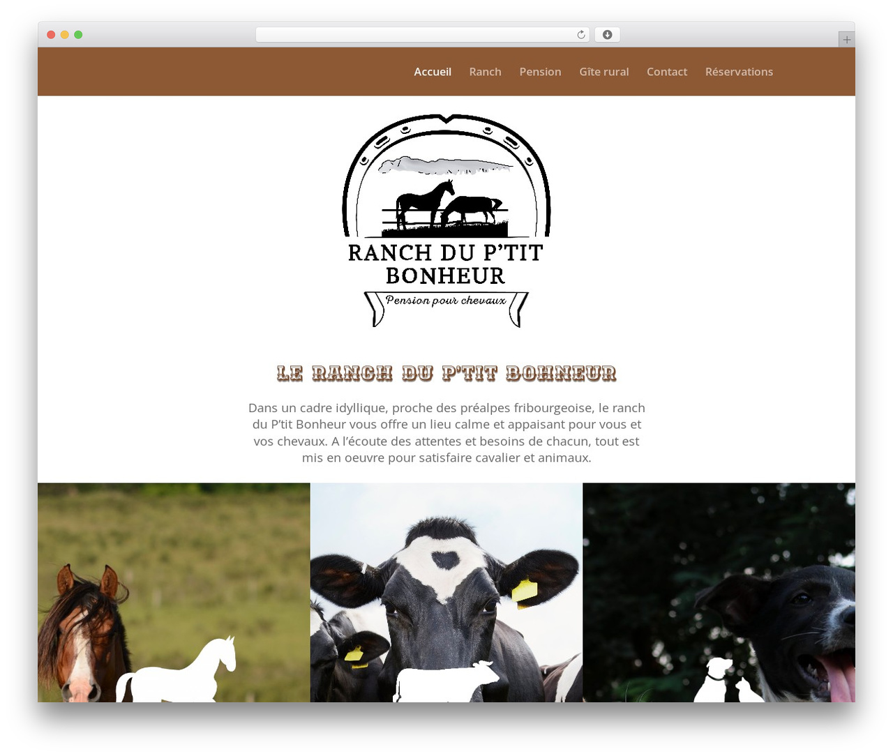 Divi WordPress theme - ranch-petitbonheur.ch Divi WordPress theme - ranch-petitbonheur.ch