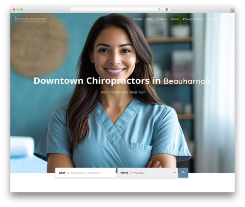 Seo repair kit WordPress plugin - downtownchiropractors.com