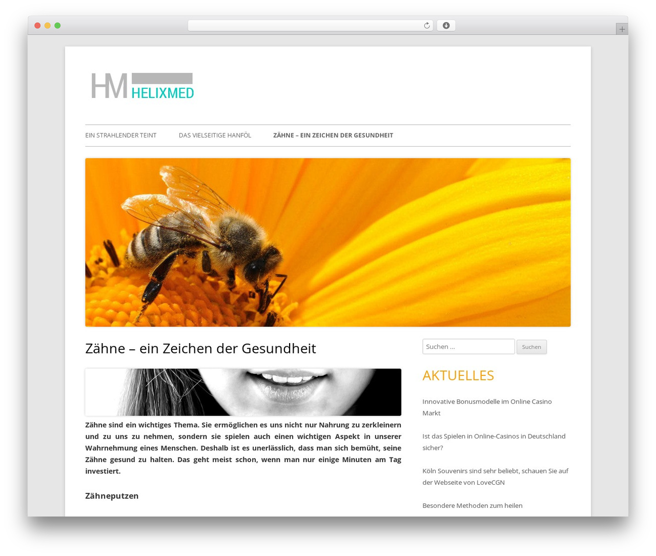 Tiny Forge WordPress theme - helixmed.de Tiny Forge WordPress theme - helixmed.de