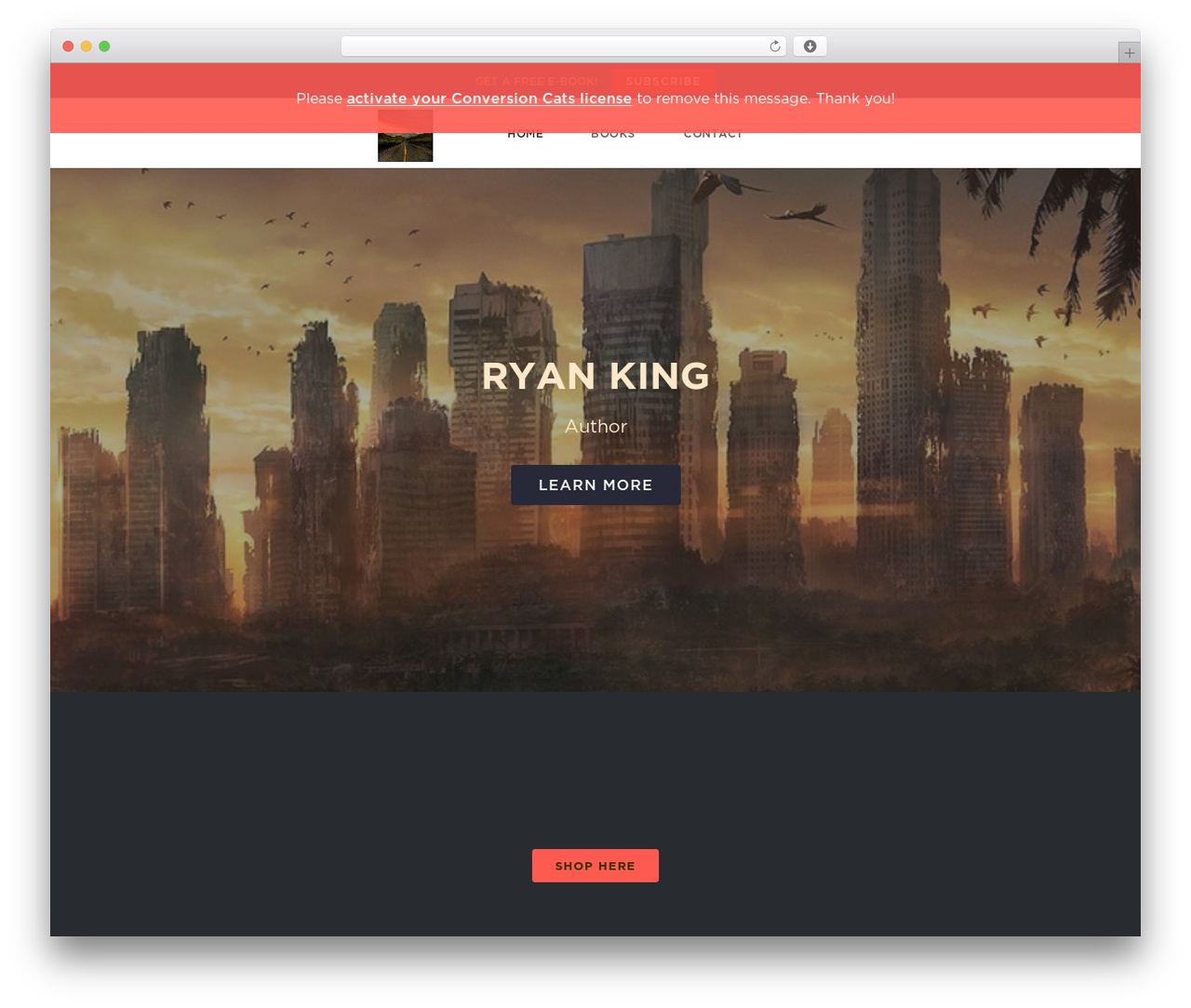 Conversion Cats WordPress theme - ryankingauthor.com