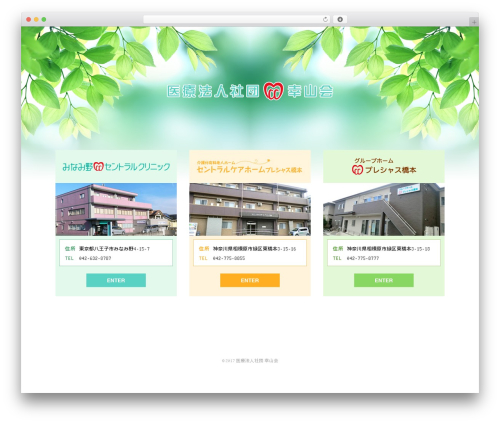 Custom article WordPress plugin - centralgroup.or.jp
