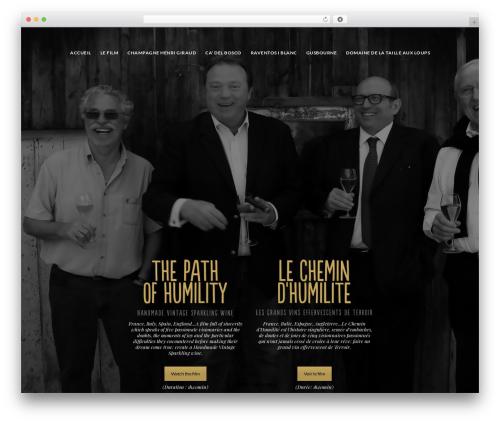 Best WordPress theme ROOK - handmadesparklingwine.com
