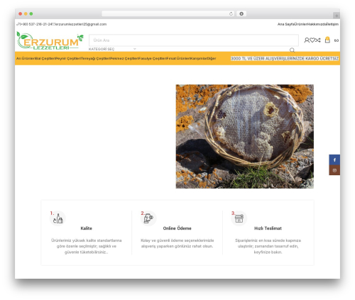 GrowCommerce – Pixel Tag Manager (PTM) for WooCommerce (pixel-manager-for-woocommerce) free WordPress plugin - erzurumlezzetleri.com