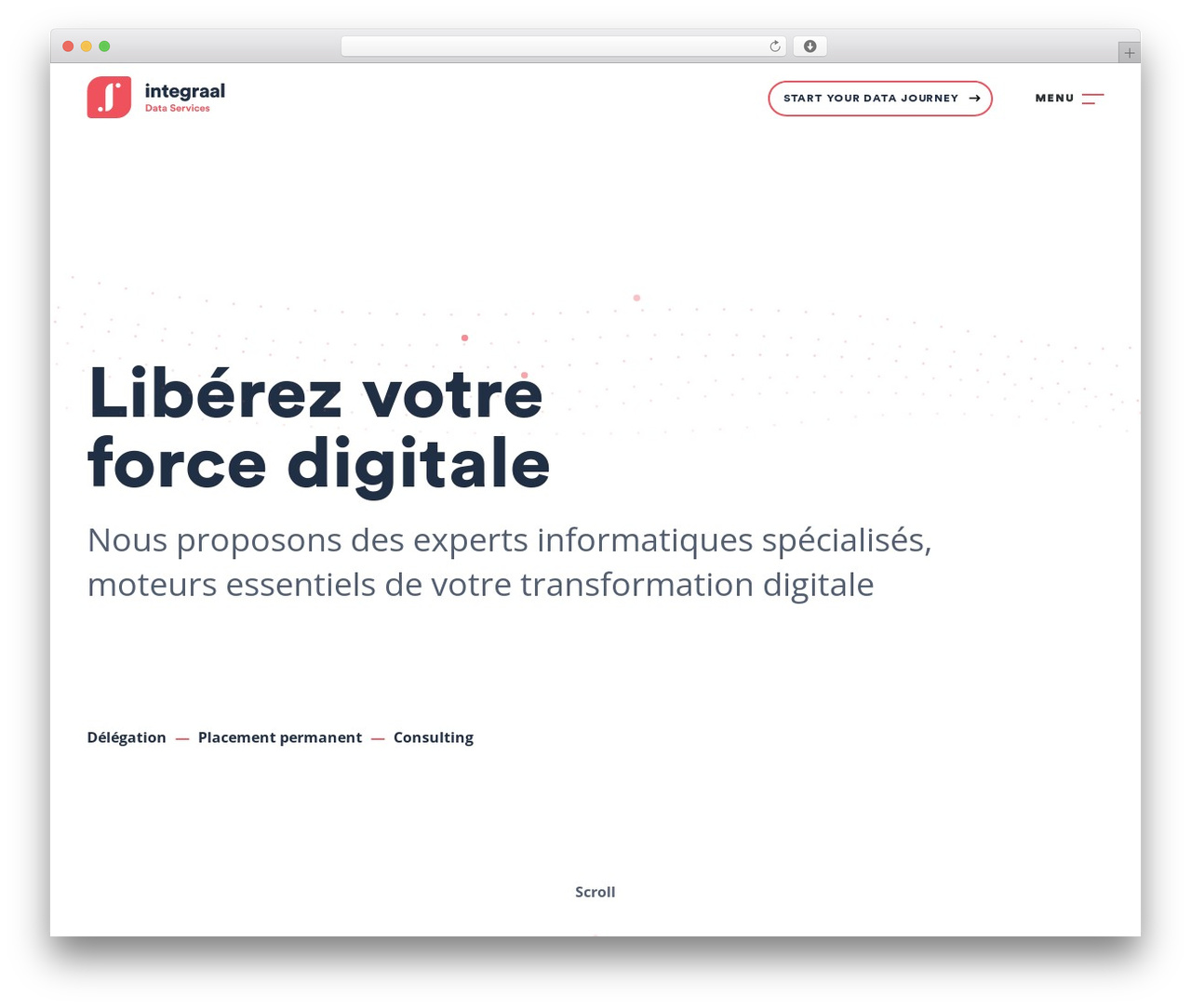 IDS WordPress theme - integraal-data-services.ch