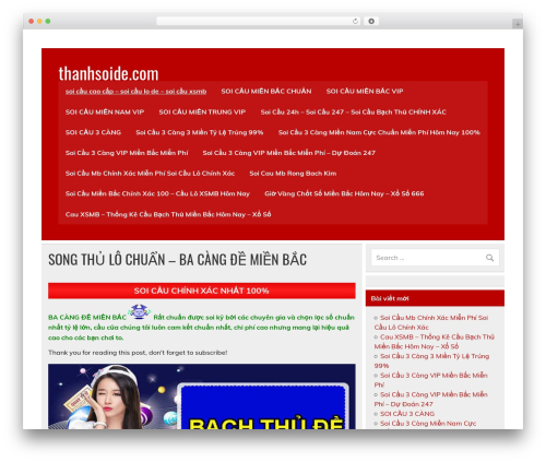 Soi cau WordPress plugin - thanhsoide.com