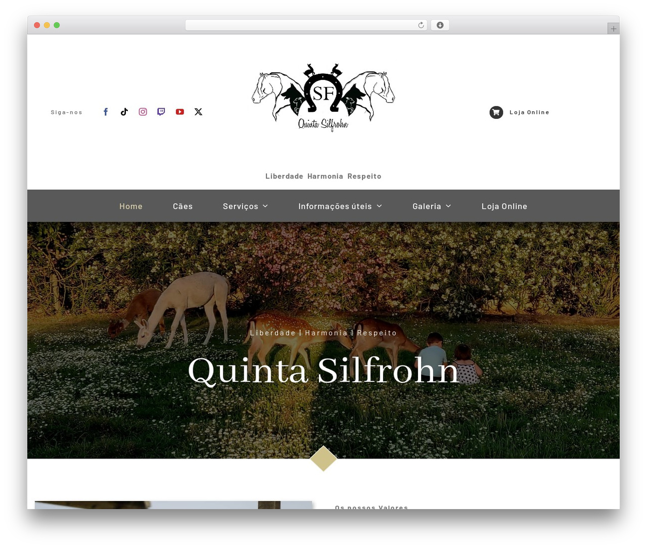 WordPress theme Avada - silfrohn.pt