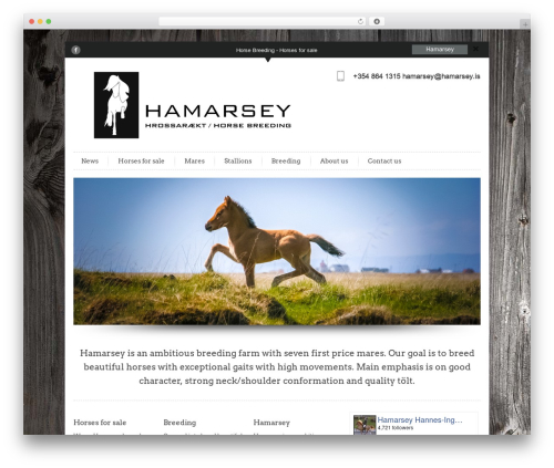 Gallery Manager (fancy-gallery) free WordPress plugin - hamarsey.is Gallery Manager (fancy-gallery) free WordPress plugin - hamarsey.is