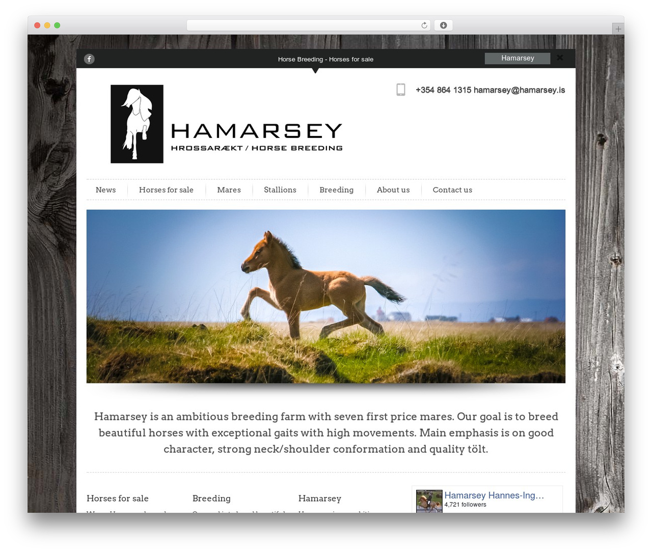 WordPress theme Infoway Pro Responsive Theme - hamarsey.is WordPress theme Infoway Pro Responsive Theme - hamarsey.is