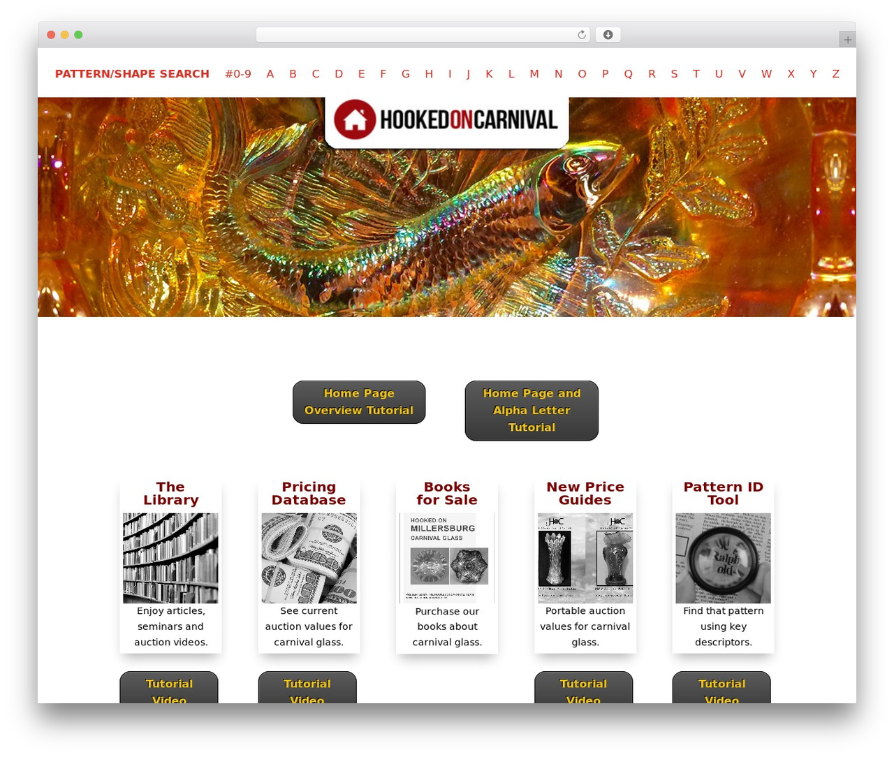 Divi WordPress theme - hookedoncarnival.com