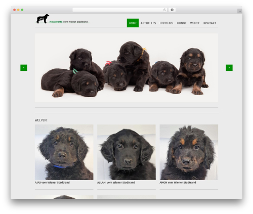 Radykal fancy gallery WordPress plugin - hovawart-ritschka.at