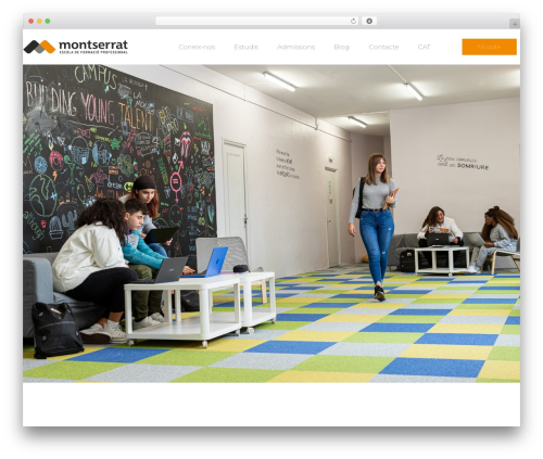 WordPress theme Hello Elementor - montserratfp.cat