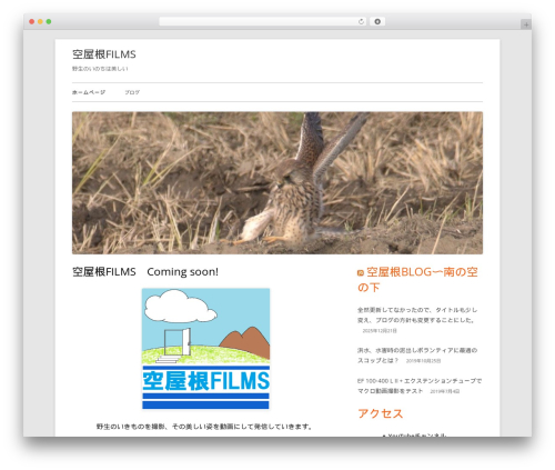 WordPress theme Tiny Framework - xn--films-od9is62ecm7a.com