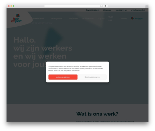FlexExpert WordPress theme - flexexpert.nl