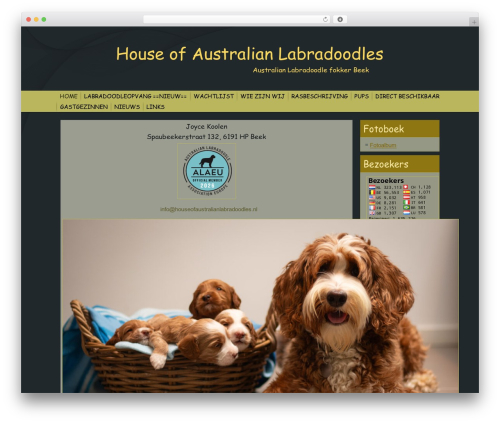 Joyce WordPress theme - houseofaustralianlabradoodles.nl Joyce WordPress theme - houseofaustralianlabradoodles.nl