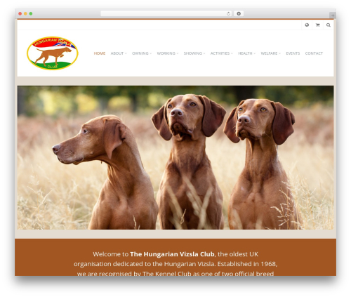 Slupy WordPress Theme WordPress theme - hungarianvizslaclub.org.uk