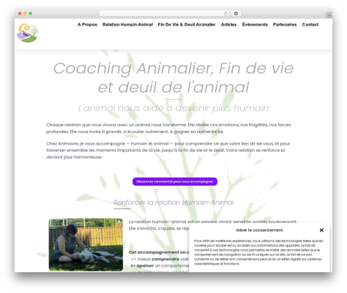 Themify Store Locator (themify-store-locator) free WordPress plugin - animavie-coaching.com