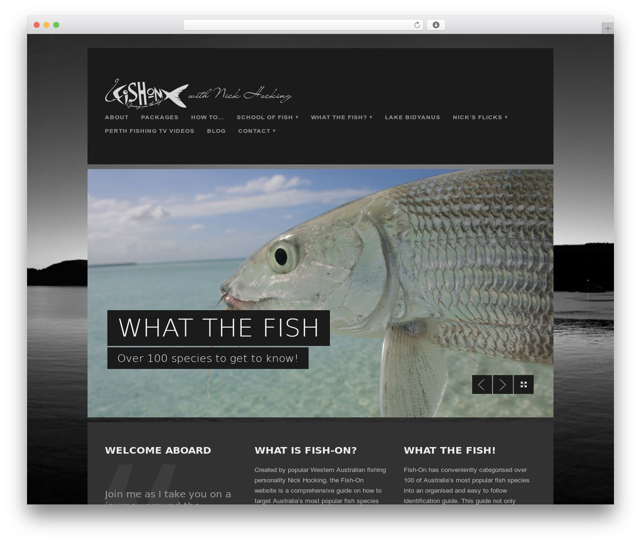 WordPress theme Boxter - fish-help.com WordPress theme Boxter - fish-help.com
