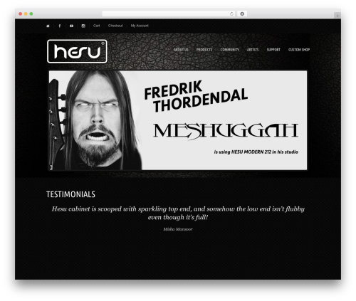 Musicpro WordPress website theme - hesu-amps.com