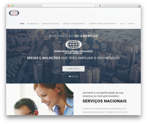 Stig WordPress theme - ibi-americas.com.br