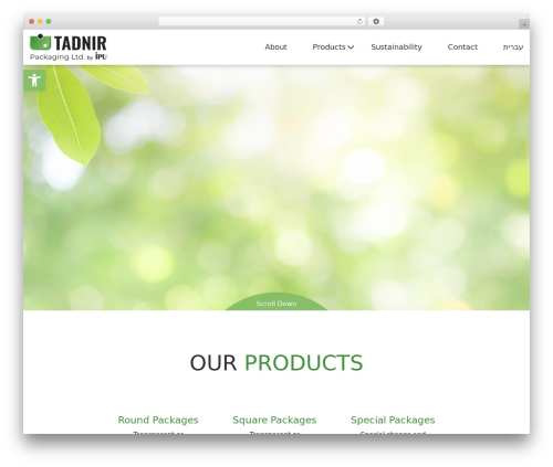 Theme WordPress Starter Template - tadnir.com