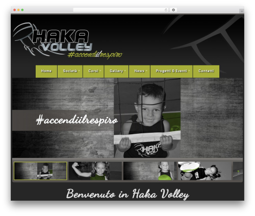 WordPress theme cherry - hakavolley.com