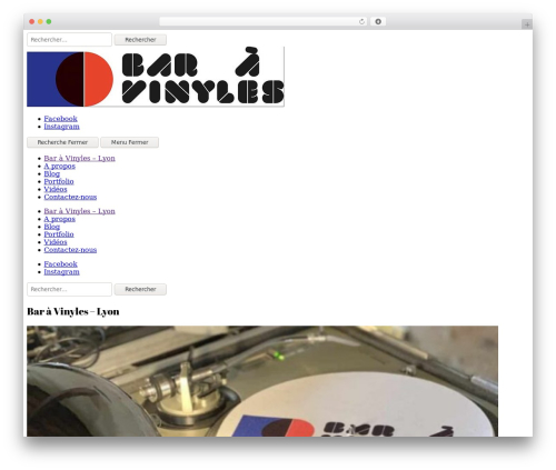 WordPress theme Lenscap - baravinyles.com