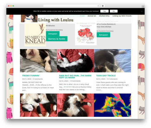 Divi WordPress theme - livingwithloulou.com