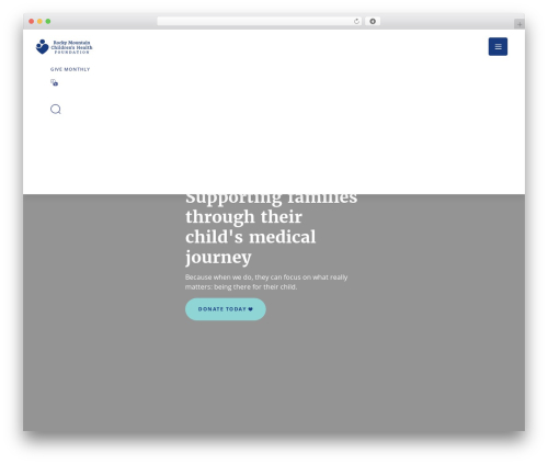 Elevation Web WP theme - rmchildren.org