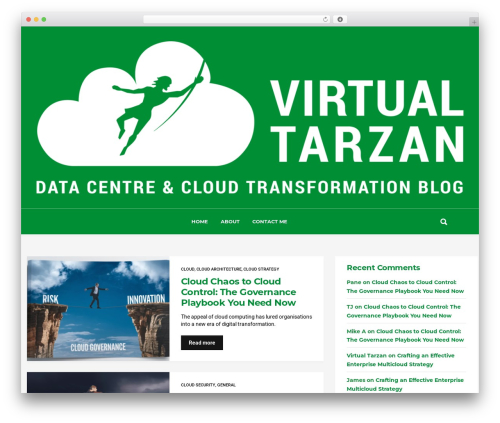 Ever WordPress theme - virtualtarzan.com