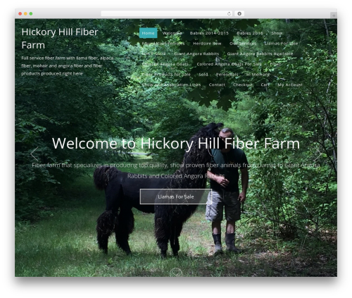 NovelPro Responsive Theme WordPress theme - hickoryhillllamas.com NovelPro Responsive Theme WordPress theme - hickoryhillllamas.com