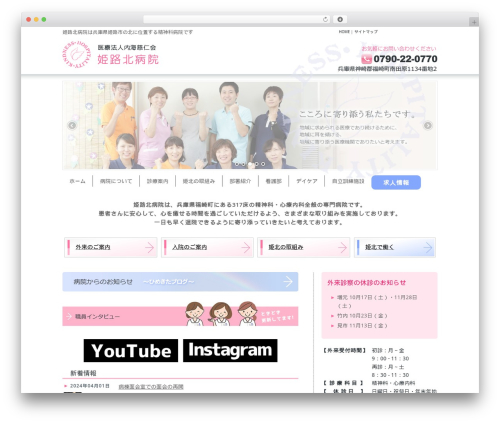 イケルデザイン best WordPress theme - himekita.com