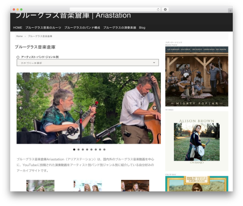 Sentry WordPress theme - ariastation.com