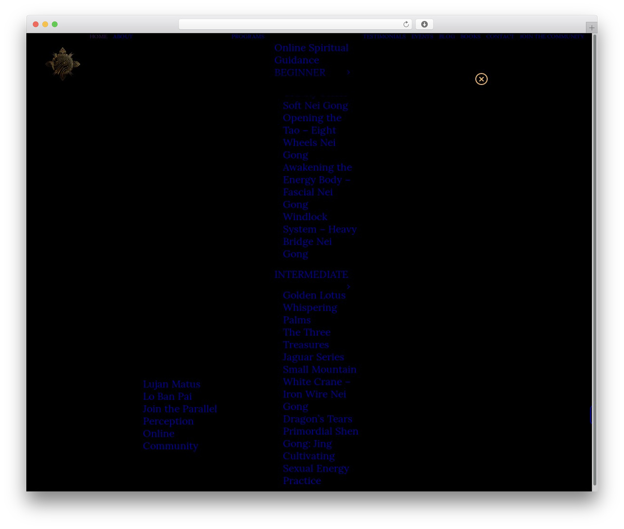 WordPress theme Uncode Child - parallelperception.com