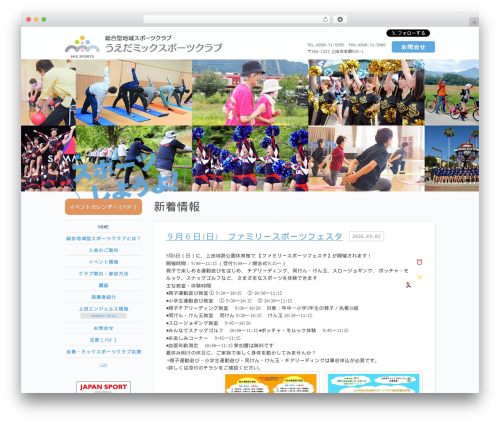 Events calendar WordPress plugin - u-mixsports.com