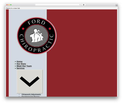 Nextbricks WordPress plugin - fordchiropractic.com