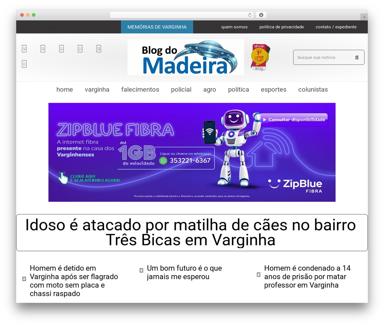 Hello Elementor free WordPress theme - blogdomadeira.com.br