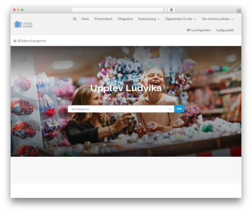 Regions for WP Job Manager (wp-job-manager-locations) free WordPress plugin - unikaludvika.se